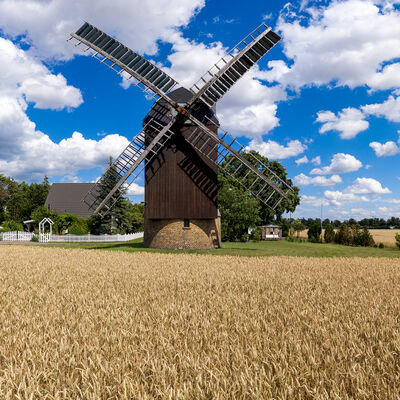 Bild vergrößern: Die Hädicke-Mühle in Brehna im Sommer