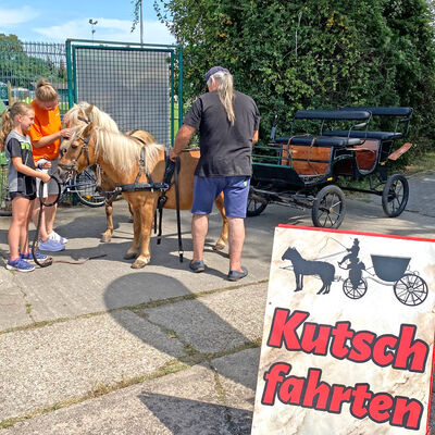 Bild vergrößern: Kutschfahrten waren sehr beliebt