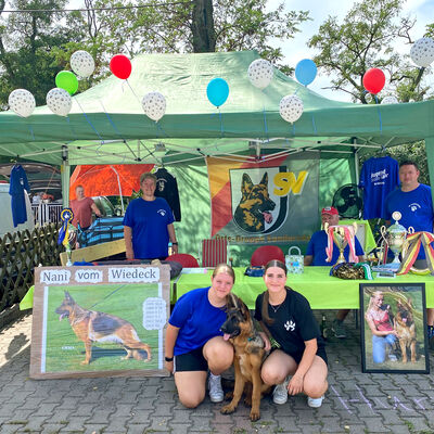 Bild vergrößern: Schäferhundeverein Sandersdorf