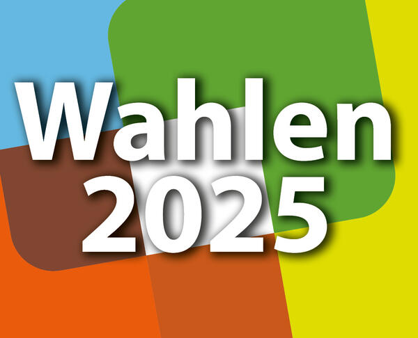 Musterbild Wahlen 2025