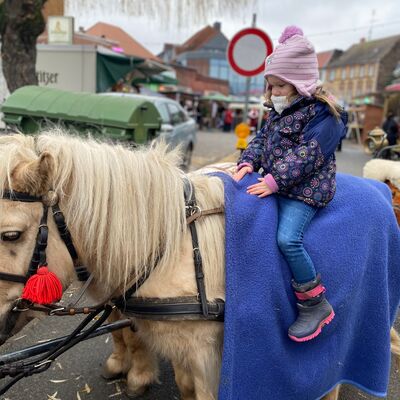 Bild vergrößern: Nicht nur Kutschfahrten, auch Probesitzen war möglich.