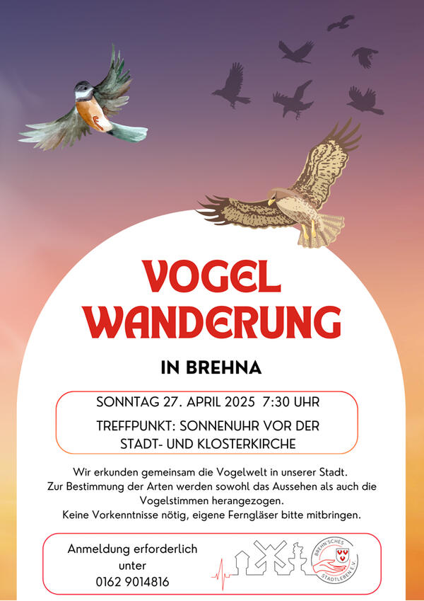 Vogelwanderung - 1