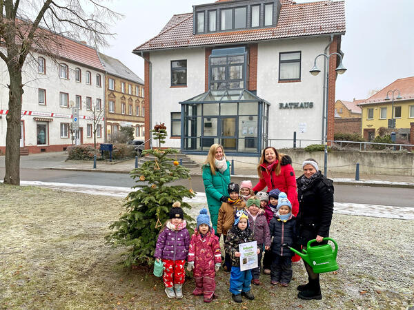 Baumpatenschaft des Weihnachtsbaumes am Rathaus Sandersdorf